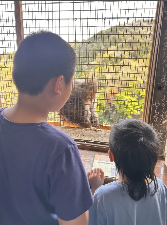 Our two kids from behind, looking through a fence and feeding a Japanese macaque at Iwatayama Monkey Park, Kyoto