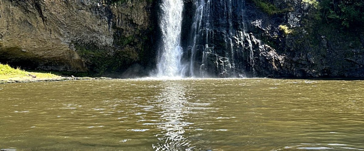 Hunua Falls cascading into a pool, surrounded by native bush